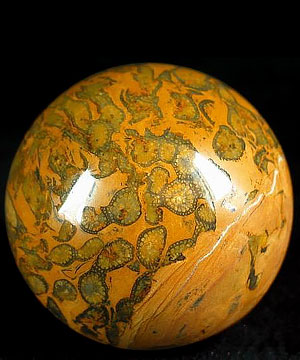 2.0" Petrified Coral Fossil Sphere, Crystal Ball