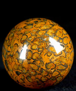2.0" Petrified Coral Fossil Sphere, Crystal Ball