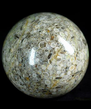 2.0" Crinoid Fossil Sphere, Crystal Ball