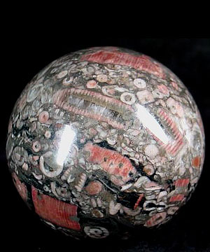 2.0" Crinoid Fossil Sphere, Crystal Ball