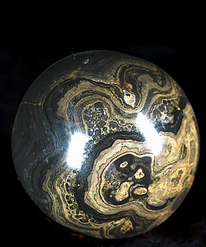 2.0" Stromatolite Fossil Sphere, Crystal Ball