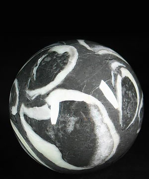 2.8" Rare Fossil Sphere, Crystal Ball