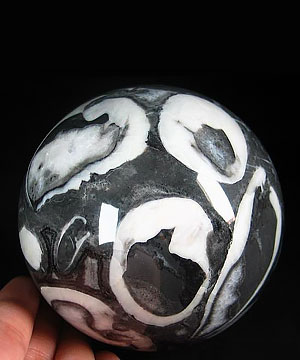 3.6" Rare Fossil Sphere, Crystal Ball