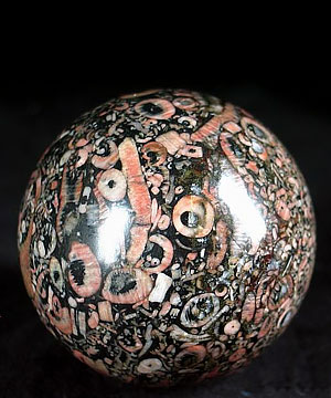 2.6" Crinoid Fossil Sphere, Crystal Ball