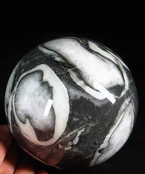 Huge 3.4" Rare Fossil Sphere, Crystal Ball