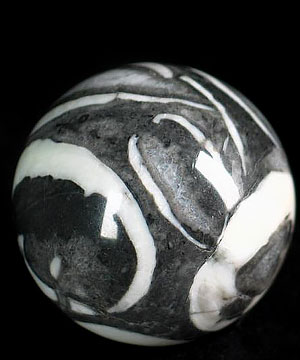 1.7" Rare Fossil Sphere, Crystal Ball