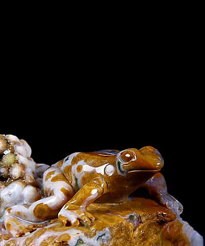 Ocean Jasper Carved Crystal Frog