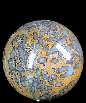 2.1" Petrified Coral Fossil Sphere, Crystal Ball