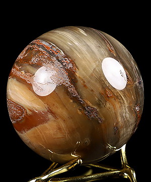 2.0" Petrified Wood Carved Crystal Sphere, Crystal Healing