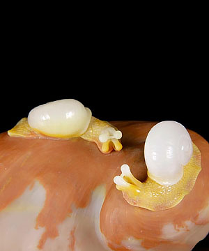 4.1" Three Colorful Agate Carved Crystal Snail Sculpture