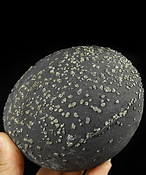 4.8" Pyrite Concretion Carved Crystal Sphere, Crystal Healing