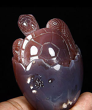 Fine Gemstone 3.4" Mozambique Agate Carved Crystal Turtle in Egg #2700970