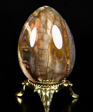 1.9" Petrified Wood Carved Crystal Egg