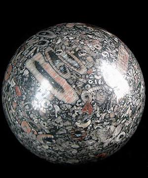 HUGE 4.0" Crinoid Fossil Sphere, Crystal Ball