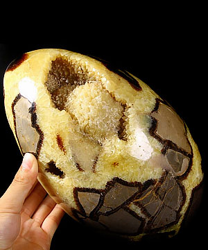 9.3" Dragon Septarian Stone Carved Crystal Egg