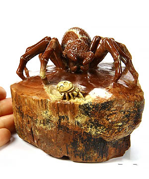HUGE 4.1" Petrified Wood Carved Crystal Spider & Seven-Spotted Ladybugs Sculpture, Crystal Healing
